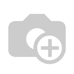 ASSEM Synergy System - Desarrollo de módulos Odoo en México